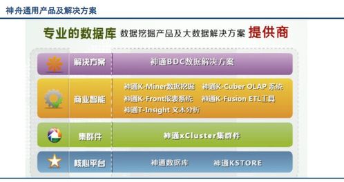 國(guó)內(nèi)外市場(chǎng)上數(shù)據(jù)庫(kù)系統(tǒng)的主要產(chǎn)品及其功能概覽
